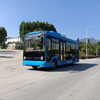 Fábrica da China 5-7m Nova Energia 12-15 Sentos Micro Circulação Small Ev Electric City Bus de entrada de entrada de baixo ônibus de ônibus baixo Cidade do andar